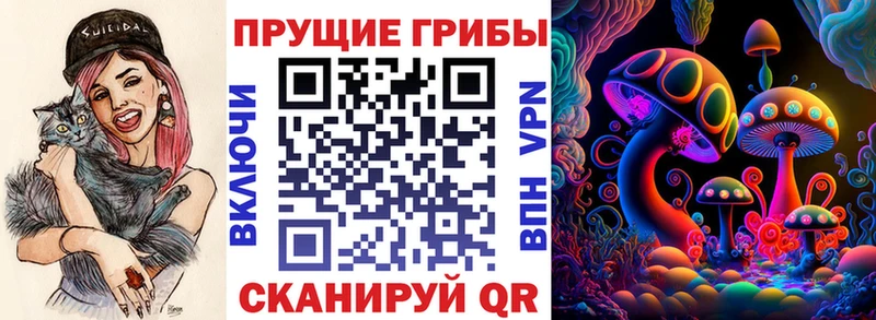 Псилоцибиновые грибы Psilocybine cubensis  мега   Азнакаево  магазин   