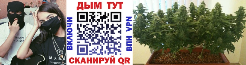 мега ТОР  Азнакаево  Каннабис марихуана 